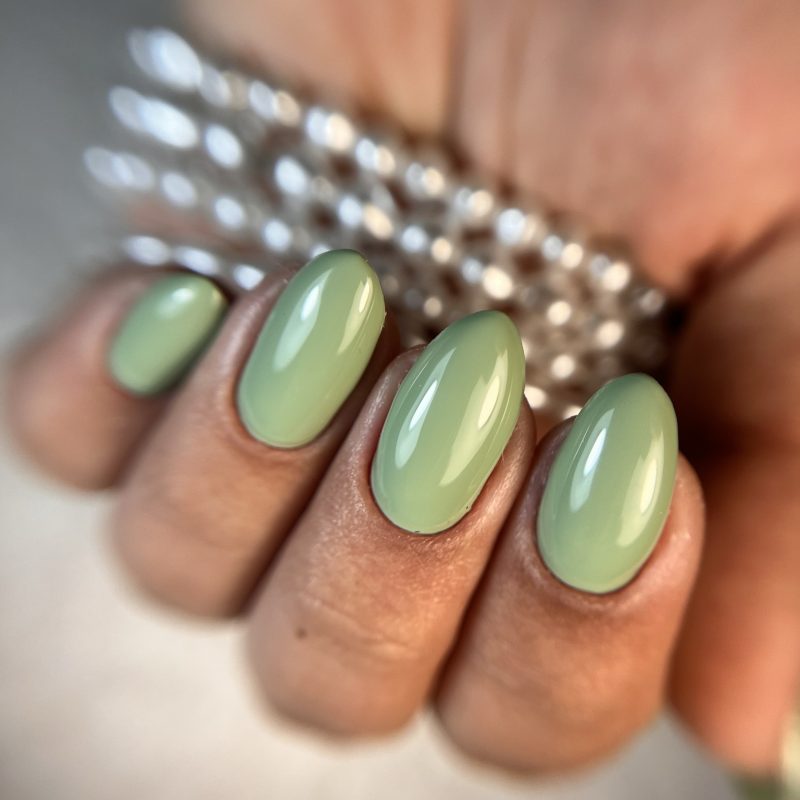 Sheina 65