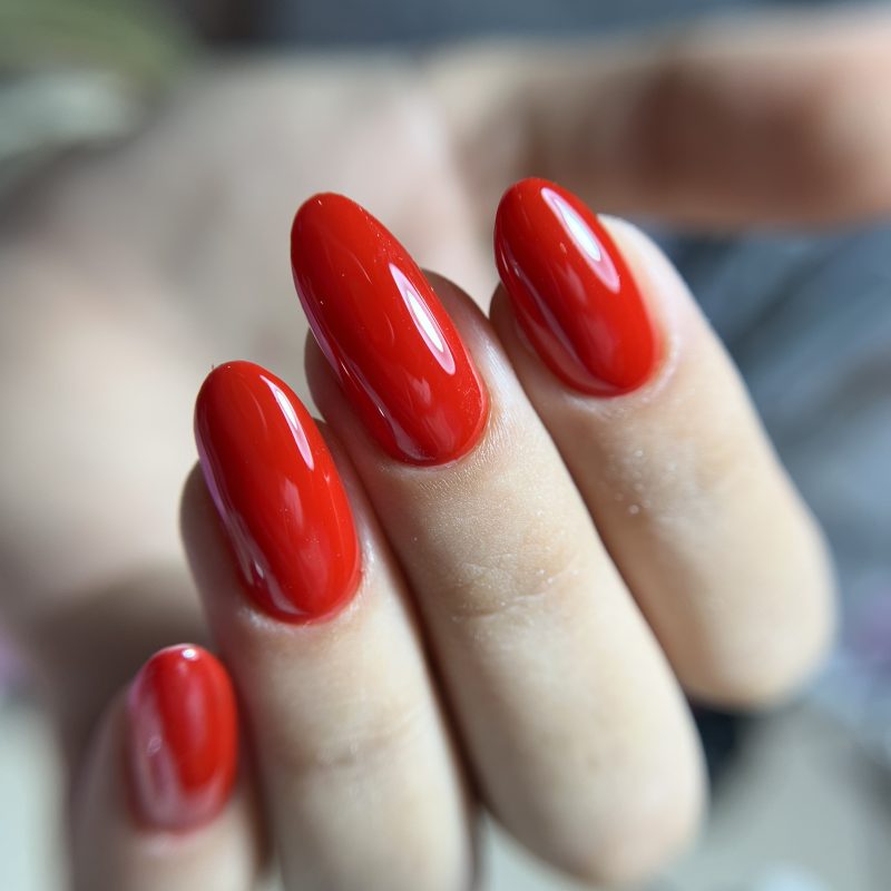 Sheina 25