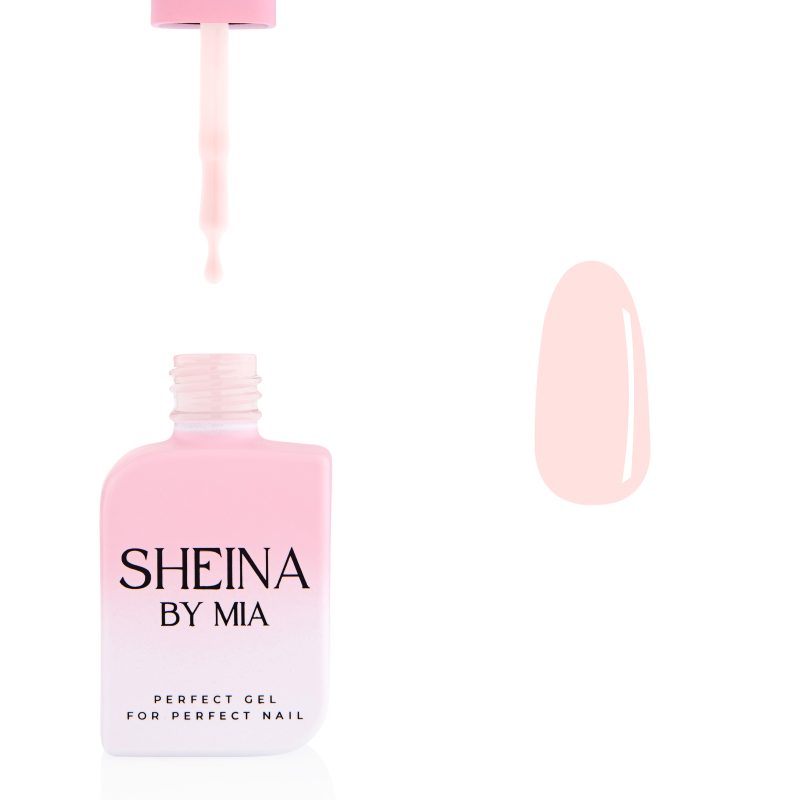 Sheina_Basic 2