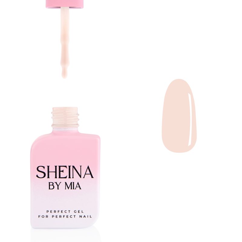 Sheina_Basic 3
